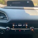 WhatsApp Image 2026-d02-19 at 12.28.50 PM